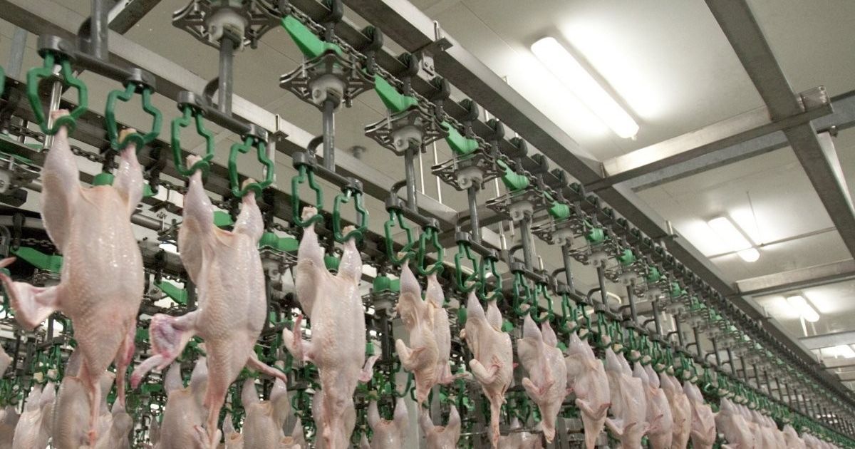 Україна може залишитися без курячого м'яса - Європейська бізнес асоціація