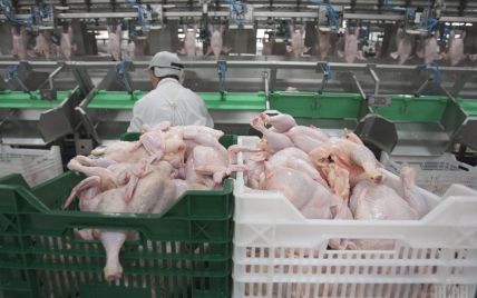Украинские производители накачивают животных антибиотиками, которые разрушают организм человека