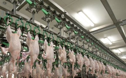 Евросоюз отменил запрет на импорт мяса птицы из Украины – чиновник