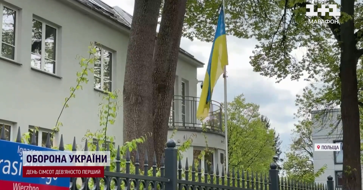Українська дипустанова