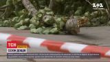 Сезон дощів: в Україні є перші постраждалі від циклону "Зора"