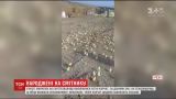 В грузинском городе Марнеули среди хлама вылупились сотни цыплят