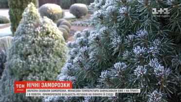 Украину сковали ночные заморозки