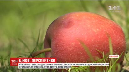 Жара и дожди повлияли на урожай и цены продуктов