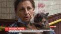 Постояльцам 5-го подъезда на Позняках разрешили вернуться в свои квартиры