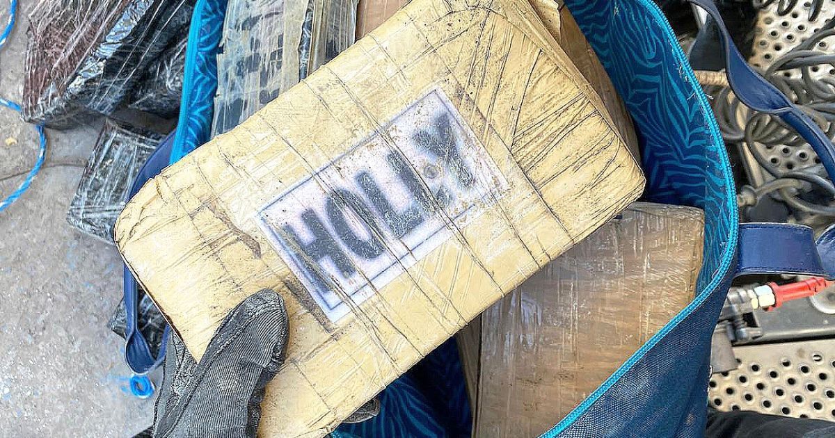 В Одеській області знайшли рекордну партію кокаїну на понад 17 мільйонів доларів (фото, відео)
