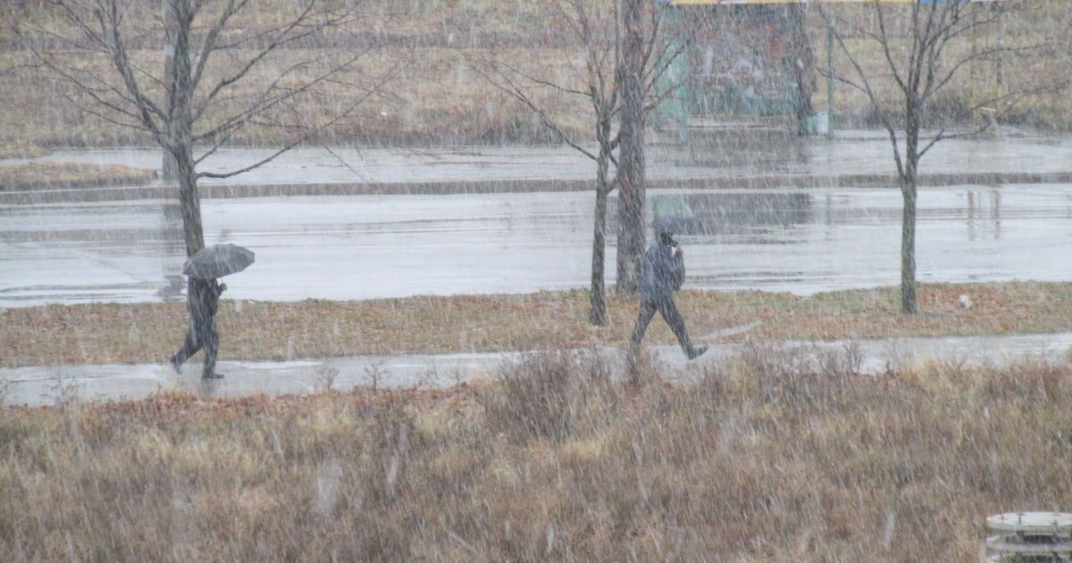 Во многих регионах в начале следующей недели пройдет мокрый снег