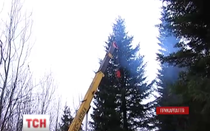 Главная елка Украины отправилась в Киев