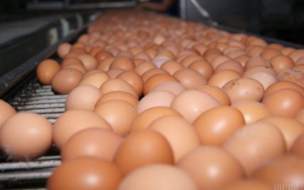 Из-за птичьего гриппа в Украине могут резко упасть цены на яйца