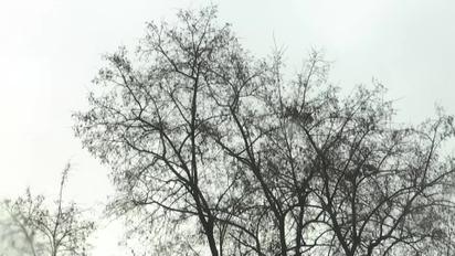 Погода не перестає дивувати! Українців очікують погодні гойдалки!