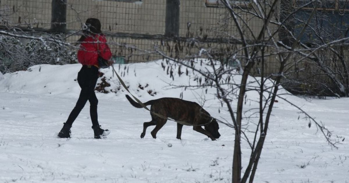 На Киев надвигаются снег и морозы