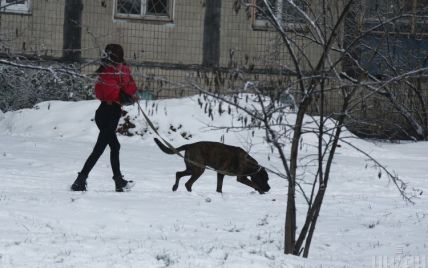 На Киев надвигаются снег и морозы