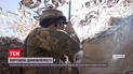 На фронте боевики на глазах в украинских военных строят новые огневые позиции