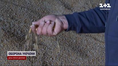 Доля зернової угоди: які умови слід очікувати від Росії