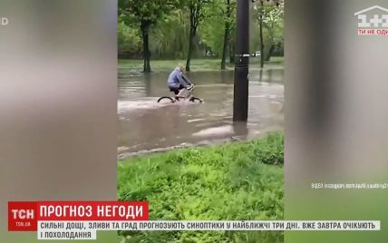 Непогода в Украине: в Житомирской области ливнем смыло огороды, а в Черновцах по улицам "поплыли" машины