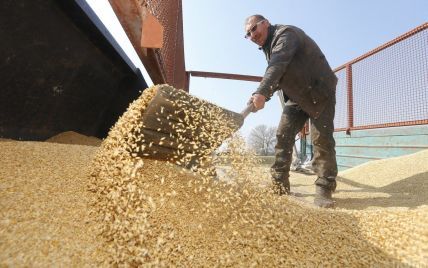 Украина более чем на 20% снизила экспорт зерновых