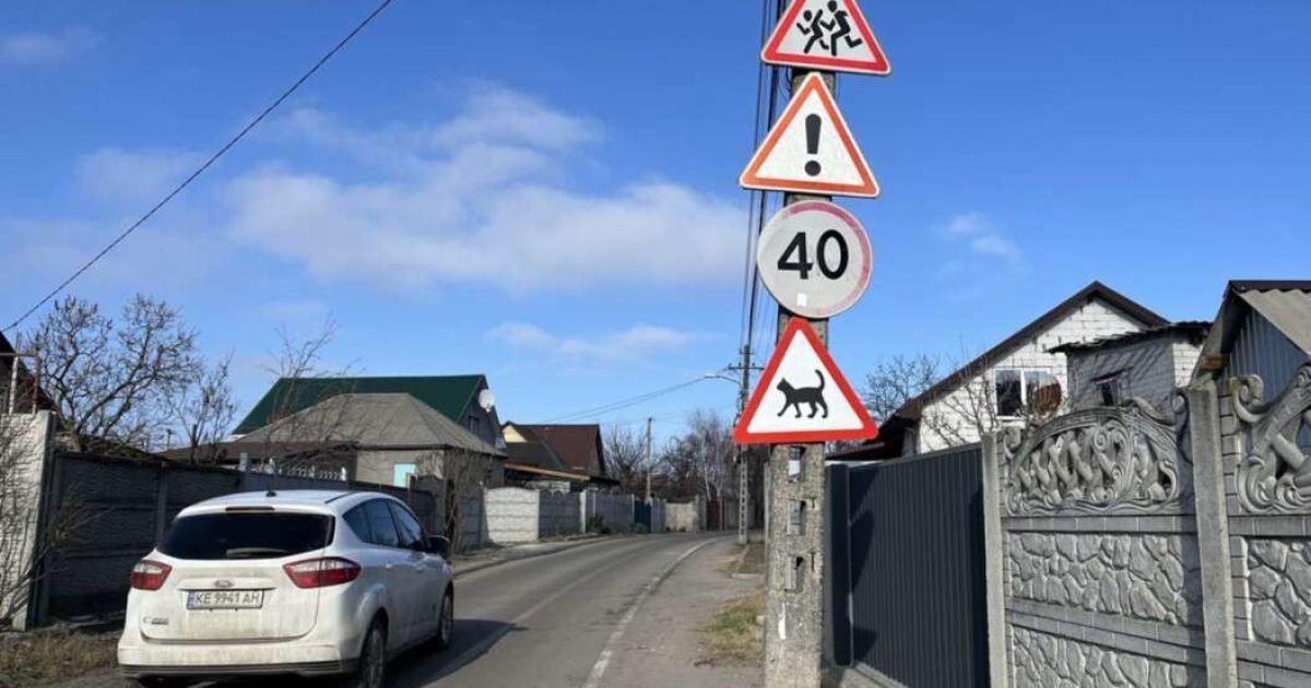 Новый дорожный знак с котом