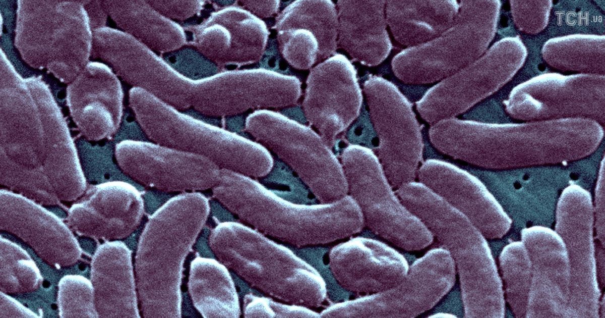 Ученые бьют тревогу из-за увеличения количества смертоносных бактерий: о чем идет речь