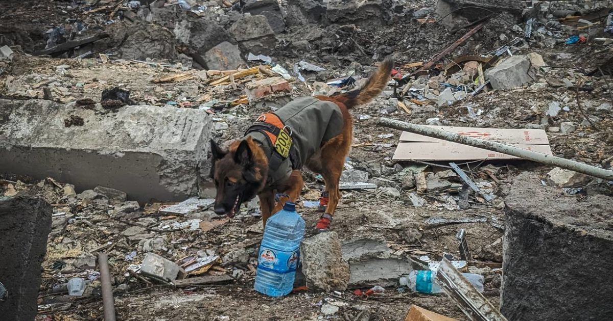 Последствия российского удара по Покровску