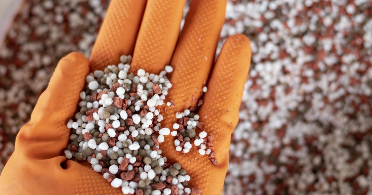 Трехходерм