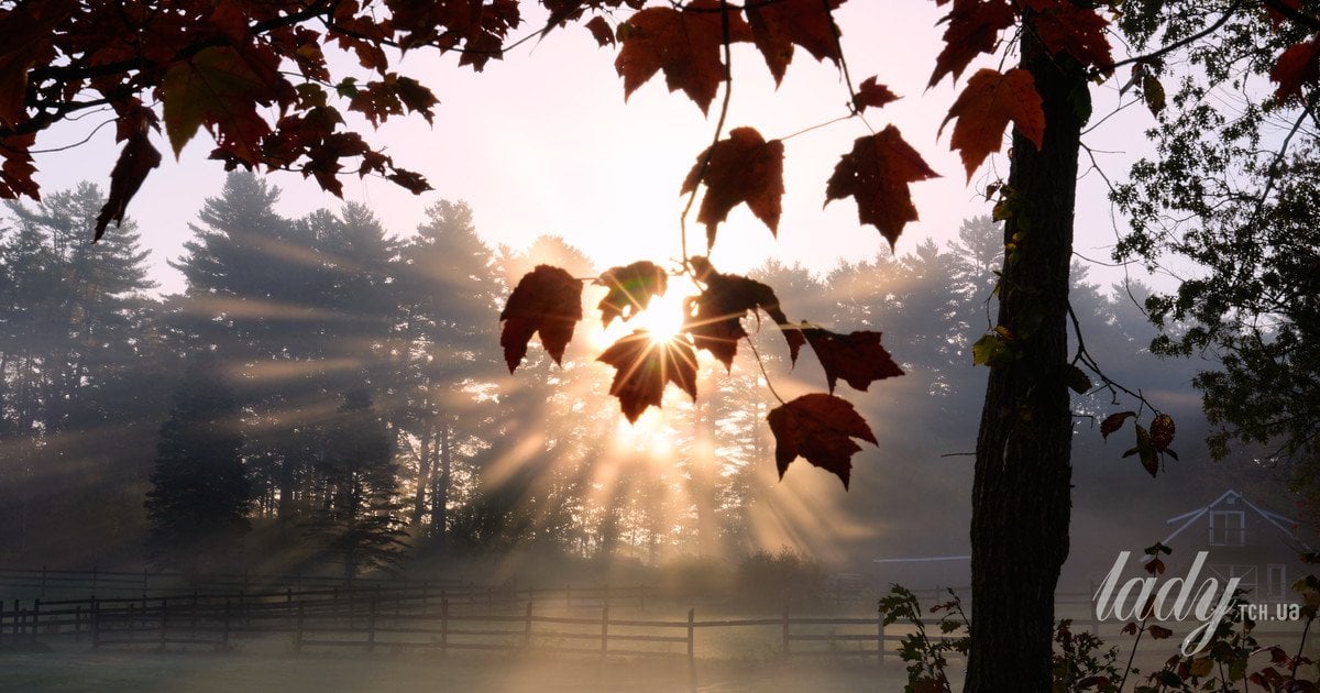 новый утренний ритуал может наполнить вас энергией на целый день