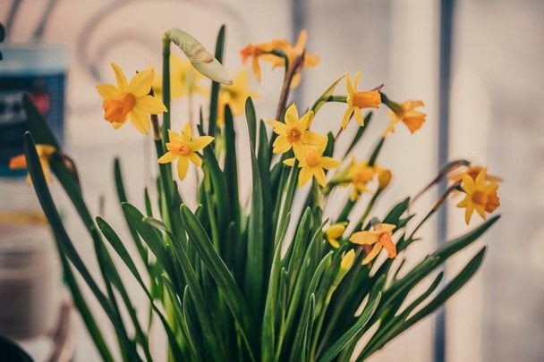 Народні прикмети 31 березня / © pexels.com