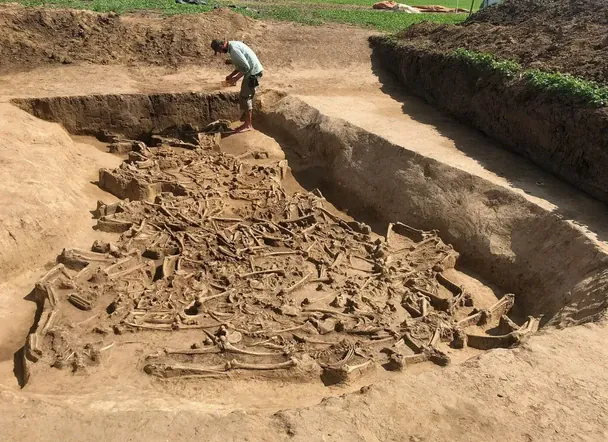 77 скелетів без голів у братській могилі: археологи розкрили