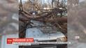 В столице огромная крыша упала и побила припаркованные авто