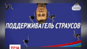 Соцсети запестрели фотожабами на тему Януковича и страусов