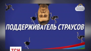 Соцсети запестрели фотожабами на тему Януковича и страусов