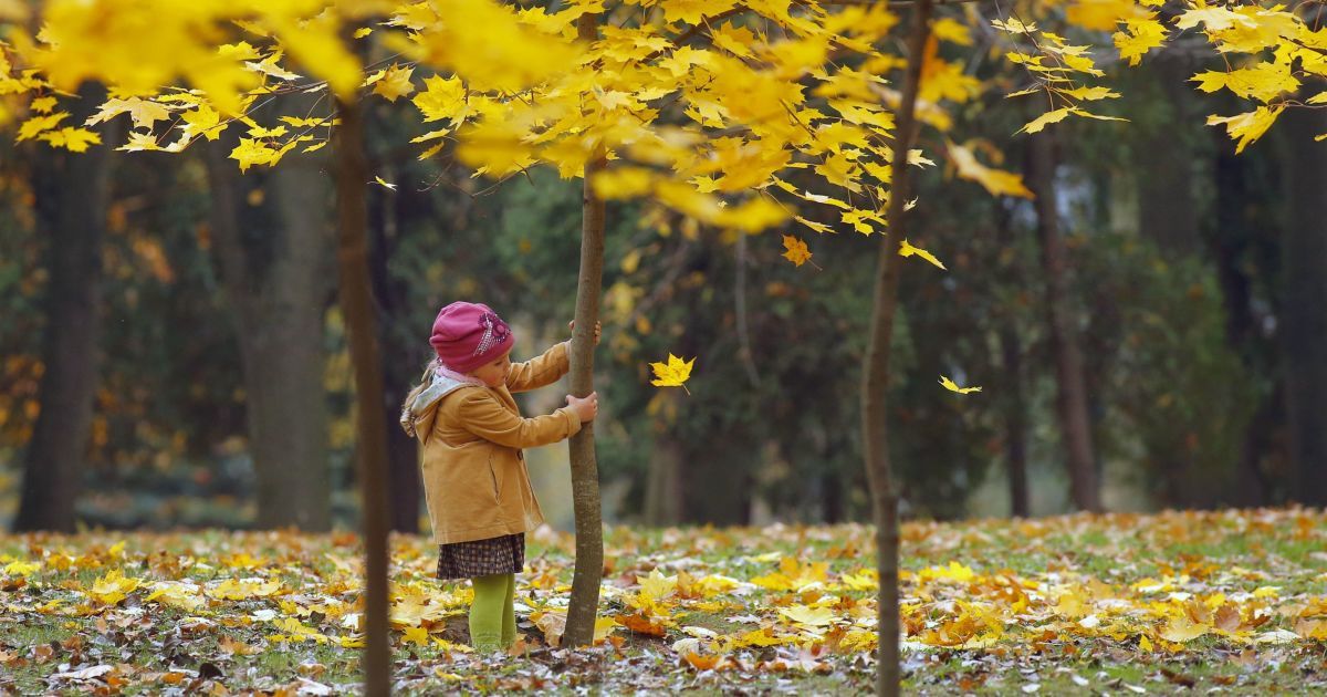 Народні прикмети, обряди і звичаї 16 жовтня