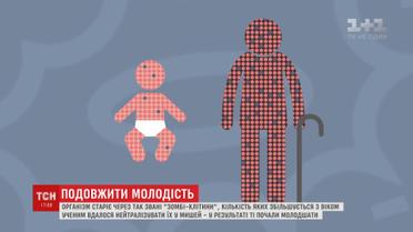 Вчені з'ясували, які клітини провокують старіння та як їх позбутися