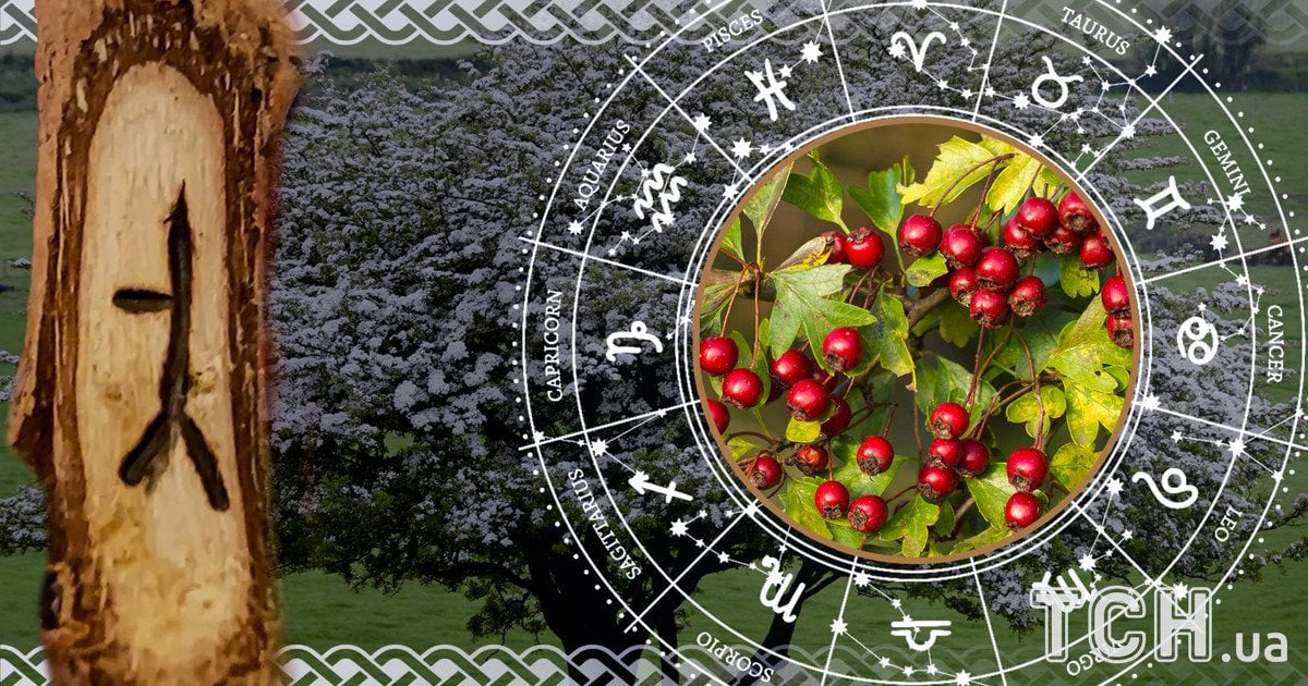 Кельтський гороскоп дерев