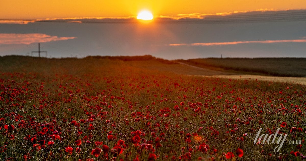 Світло проти хандри
