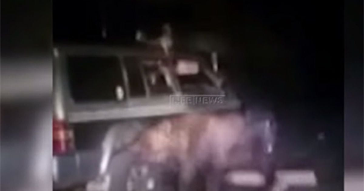 Скриншот с видео.