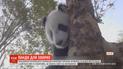 Як працівники китайського звіринцю підтримують хворих на коронавірус