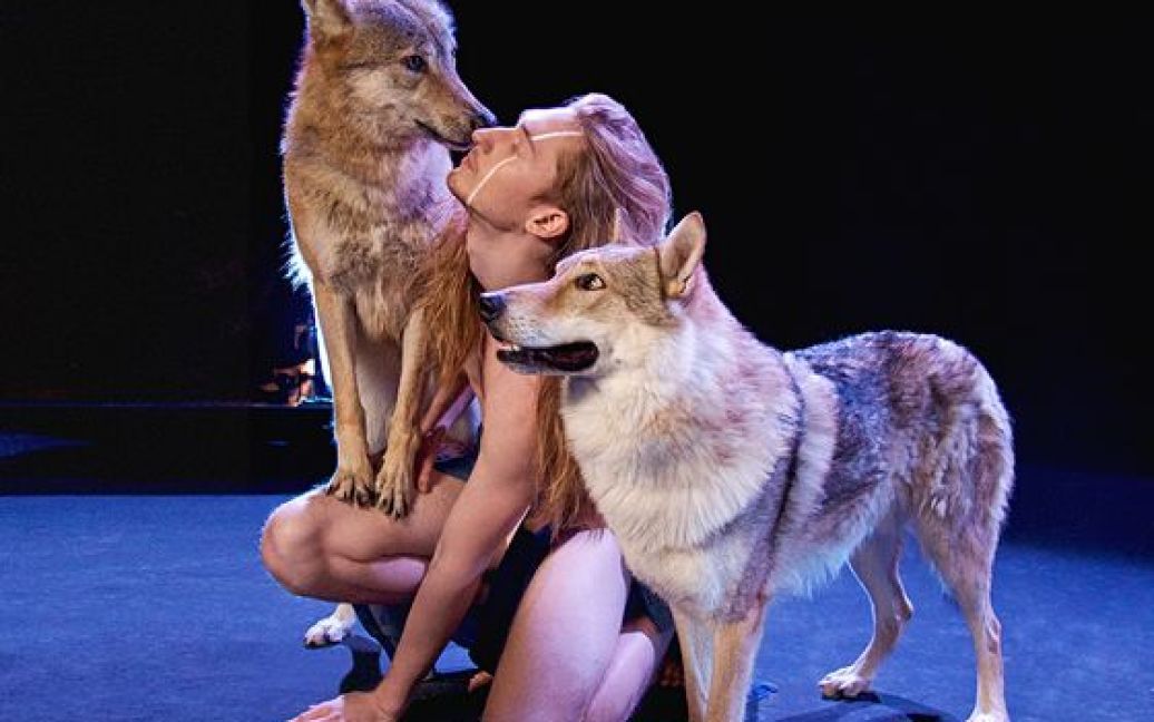 IVAN может появиться на сцене "Евровидения" без одежды и с волками / © nz1.ru