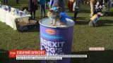 У Великій Британії десятки противників Brexit влаштували акцію із собаками