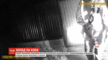 Водій "євробляхи" порушив ПДР і нацькував пса на поліцейського на Львівщині