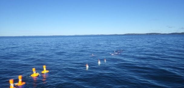 Найдена бутылка, выпущенная в море 63 года назад / Фото: Fisheries and Oceans Canada