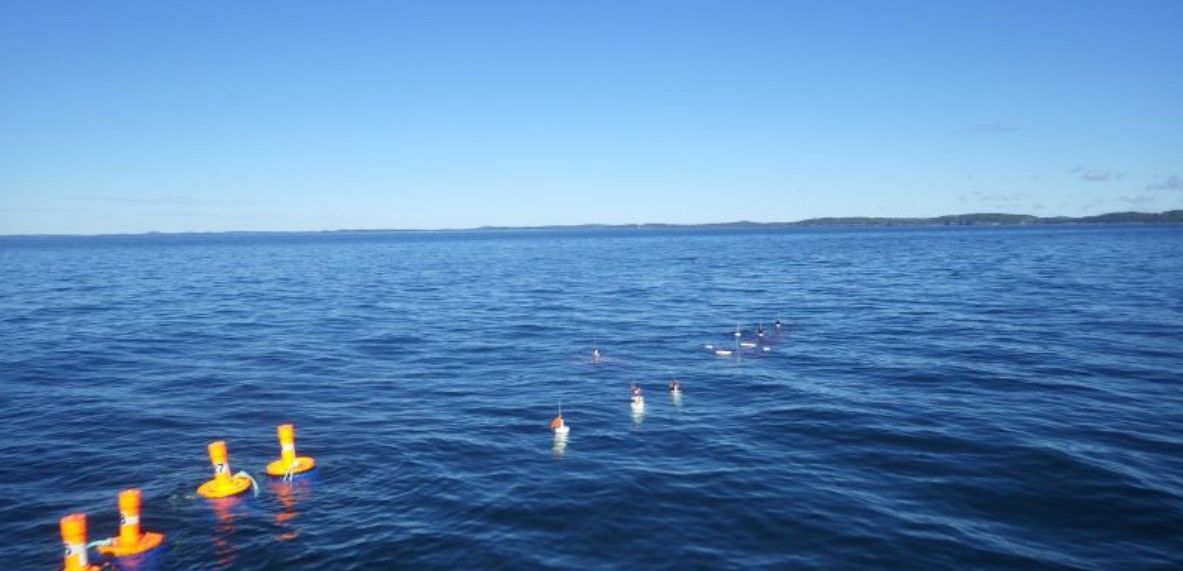 Знайдено пляшку, випущену в море 63 роки тому / Фото: Fisheries and Oceans Canada / © 