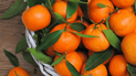 Как выбрать сладкие мандарины без косточек