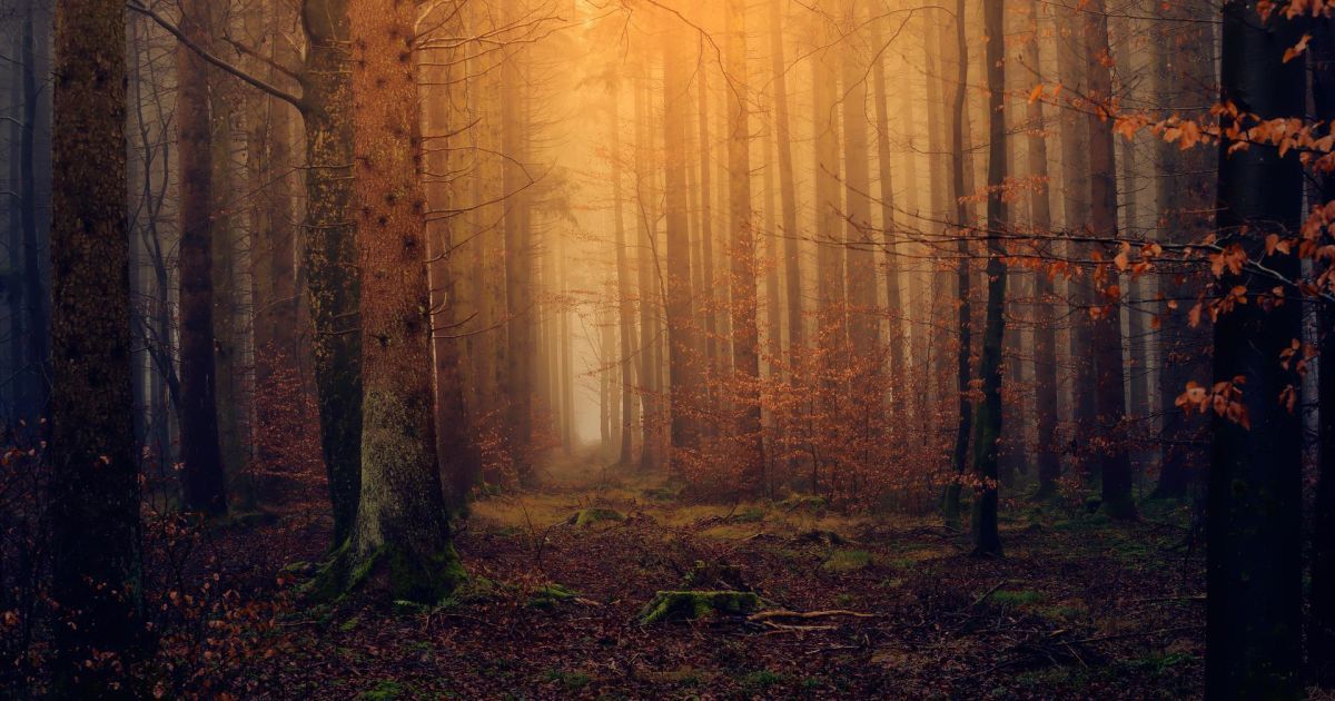 В одном из сел России не смогли мобилизовать ни одного мужчину: куда исчезли призывники