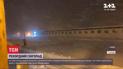 Через раптову заметіль у Канаді зачинили школи та урядові установи