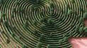 В Вене создадут необычный проект для любителей природы