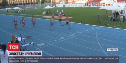 Бездомный кот едва не сорвал стометровку на чемпионате по бегу