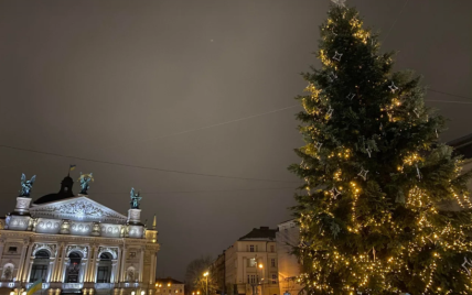"Щедрик" та святковий настрій: у Львові урочисто засвітили головну ялинку міста (відео)
