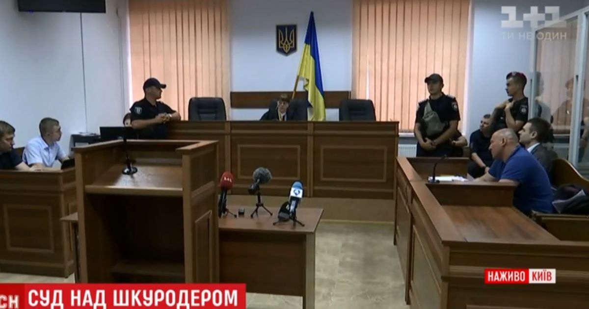 Із оплесками і зникненням світла: як у Києві відправили за ґрати доґхантера Святогора