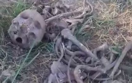 Людські кістки знайшли на кладовищі для тварин на Сумщині: скелет лежав на собачій могилі (відео)