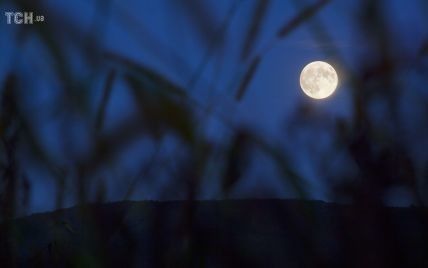 Посвятите месяц уходу за собой: лунный календарь на сентябрь-2018